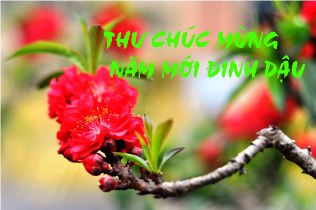 Thư chúc mừng Năm mới của Hội Đồng Giám Mục Việt Nam gửi Cộng đồng Dân Chúa